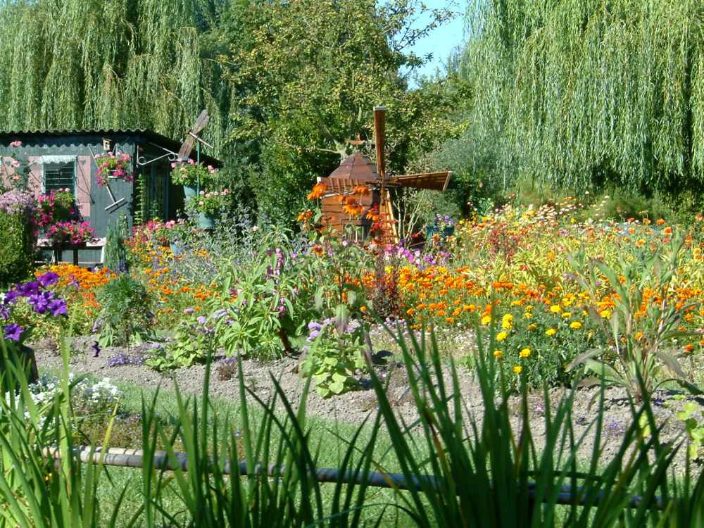 Copy (4) of DSCF0095