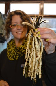 Hampron Court Kitchen Gardner Vicki Cooke with skirret 3 PHOTO Sandra Lawrence LOW