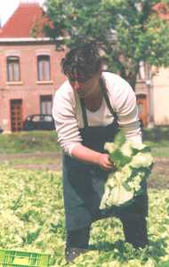 Marie-Hélène Parmentier