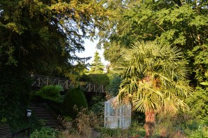 Plantation Garden 20 _Paul Lindus