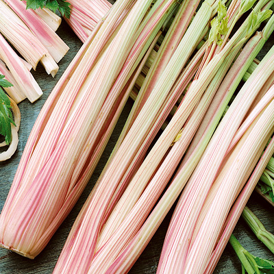 Celery Peppermint Stick