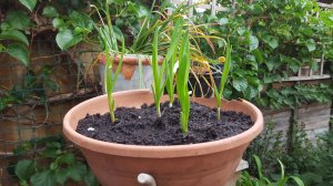 Control 9th  may 2016