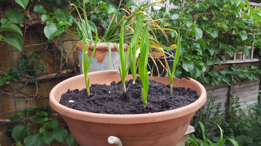 Control 9th  may 2016