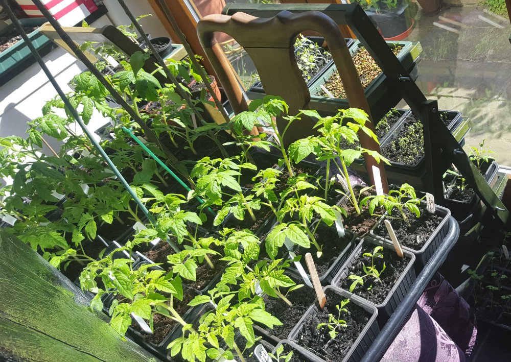 reflector works well