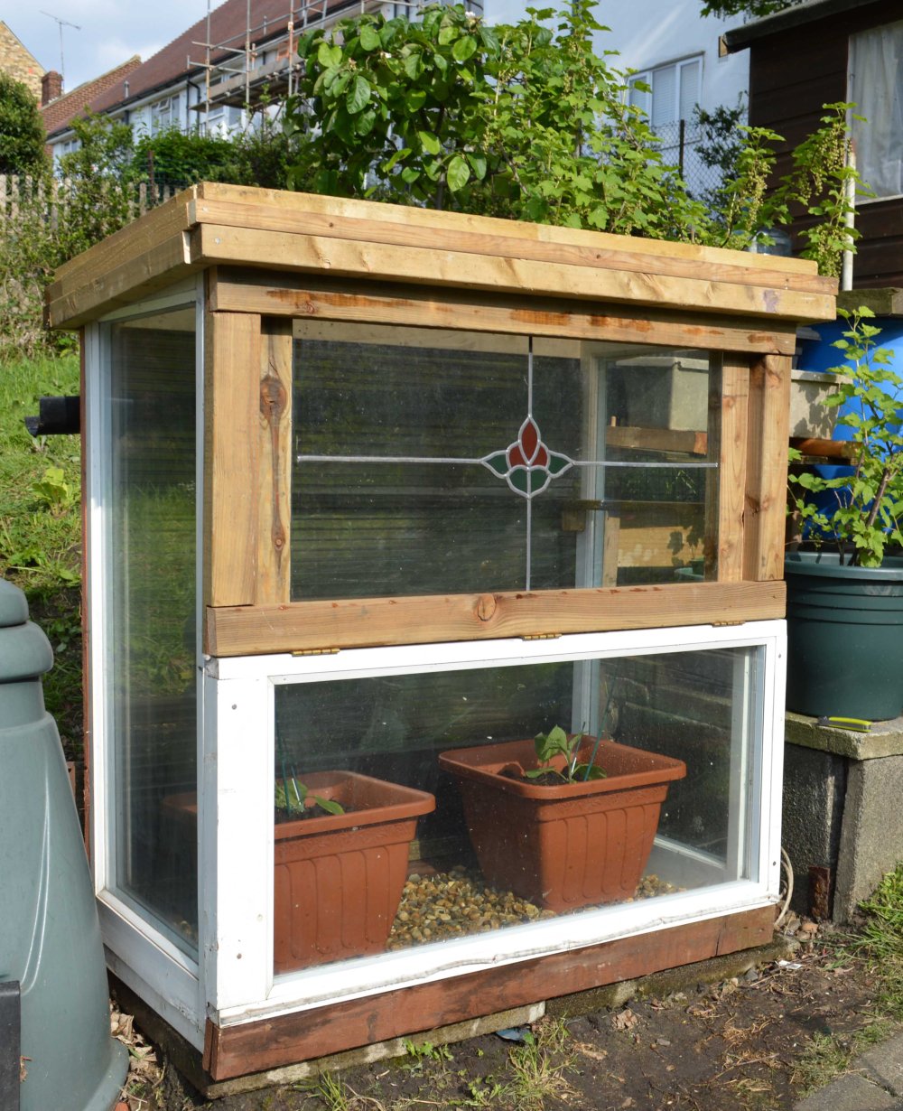 mini greenhouse low