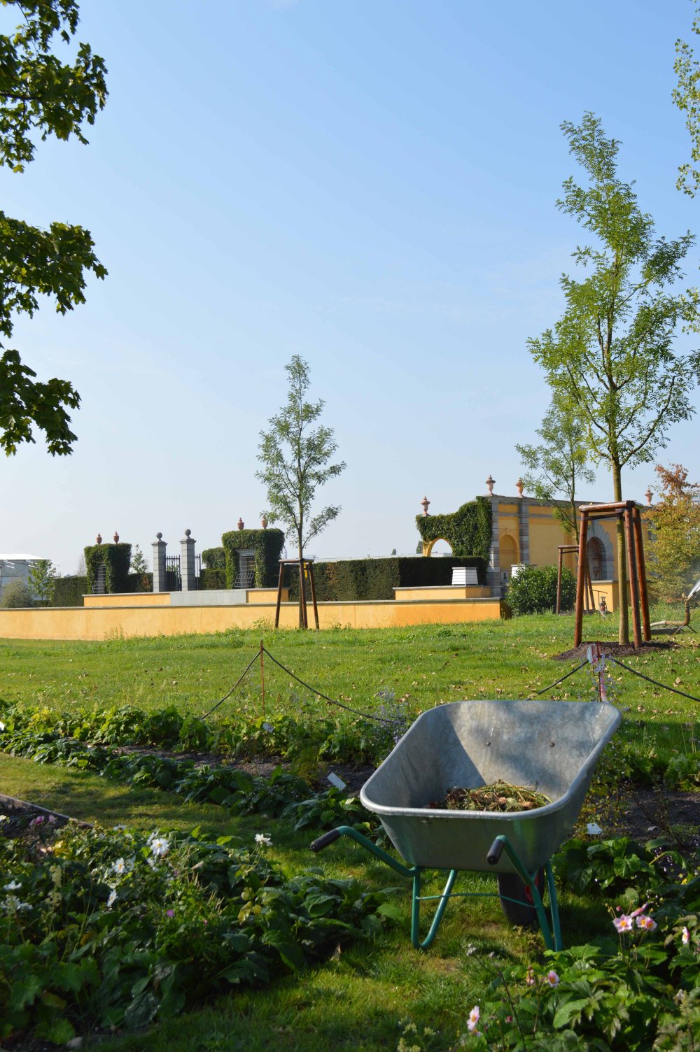 low-iga_sandra-lawrence-4