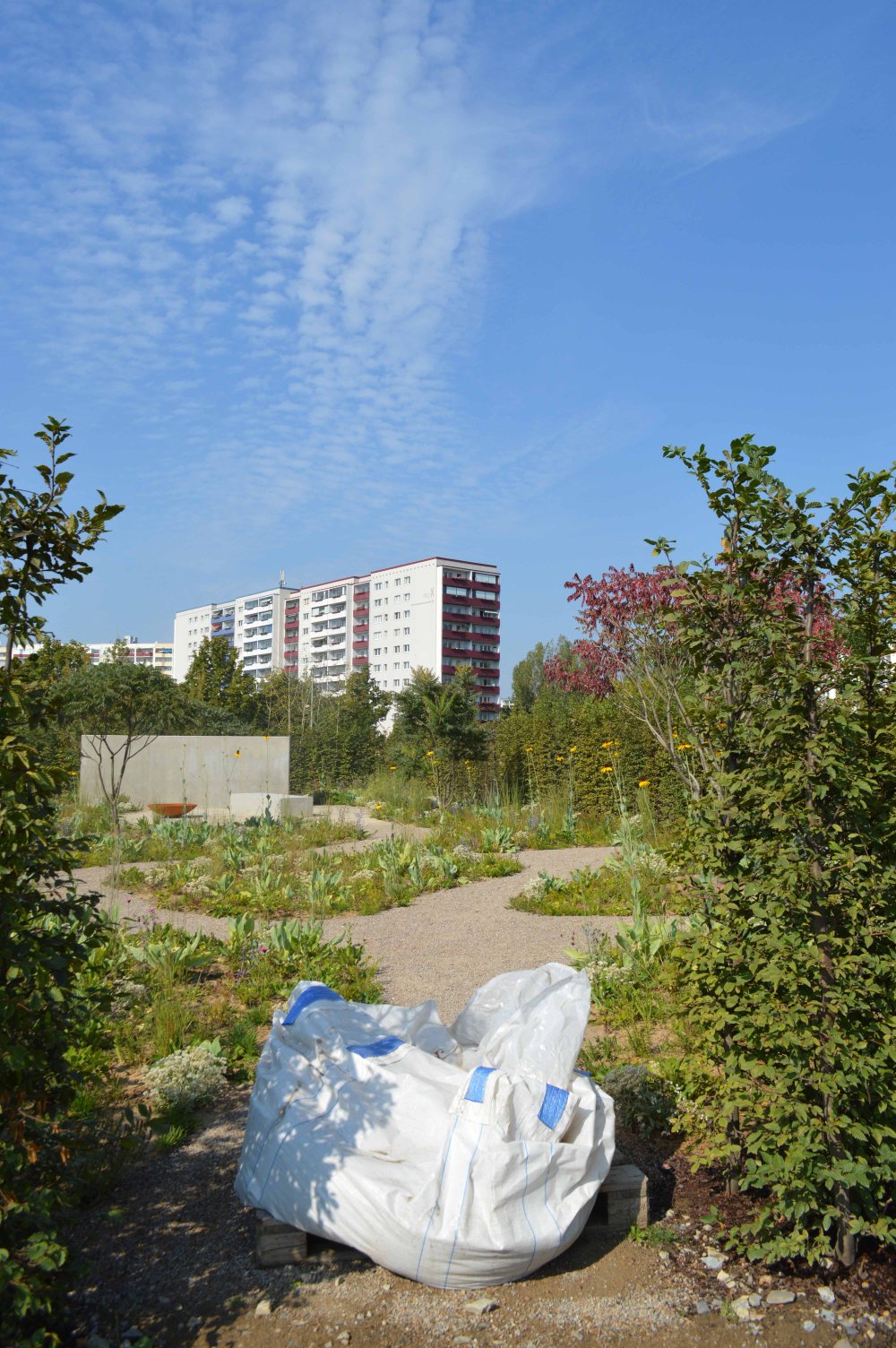 low-iga_sandra-lawrence-5jpg