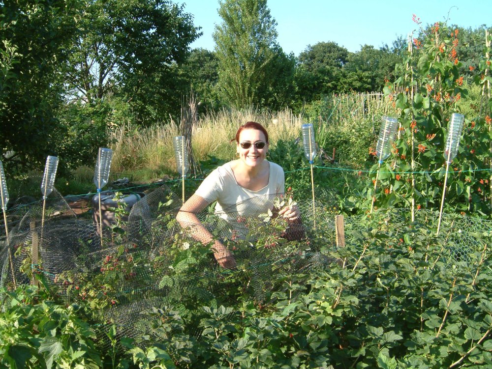 back-in-the-days-when-i-could-grow-raspberries