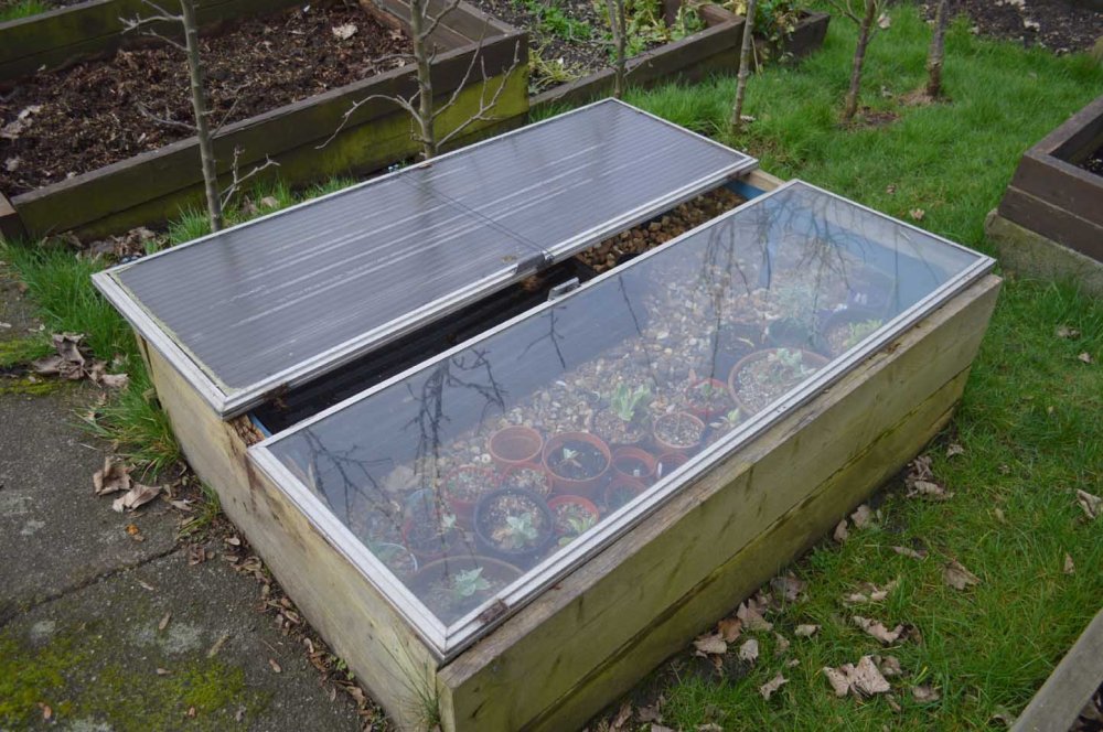 cyrils-cold-frame