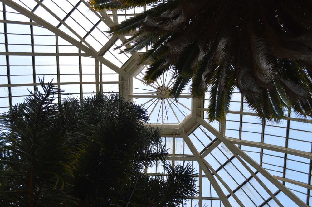 ow-avery-hill-winter-garden-s-great-lantern_sandra-lawrence