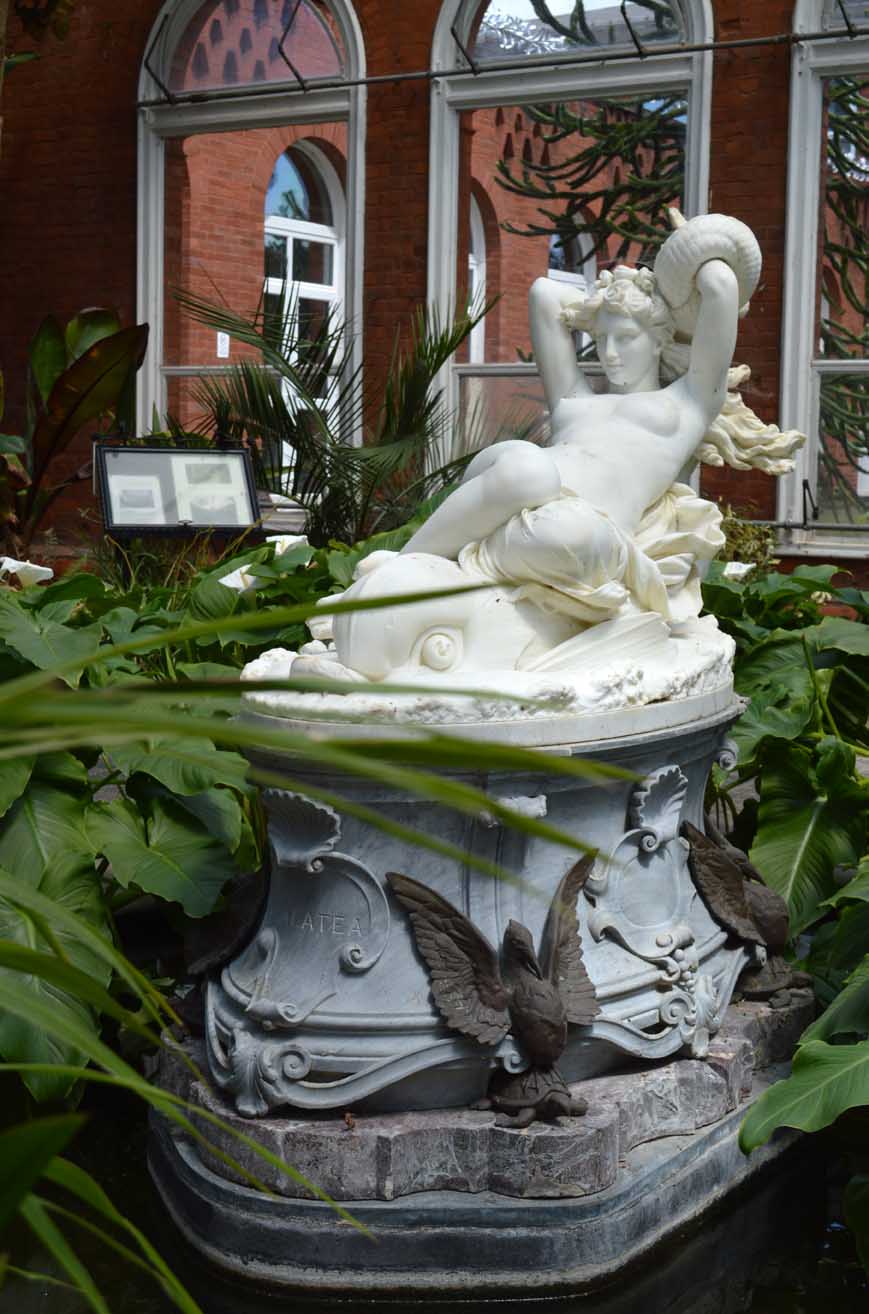ow-avery-hill-winter-garden-saucy-galatea_sandra-lawrence