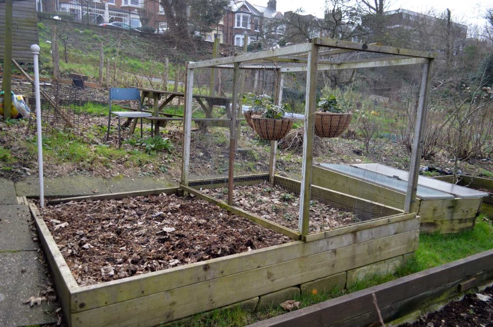 the-temple-of-asparagus