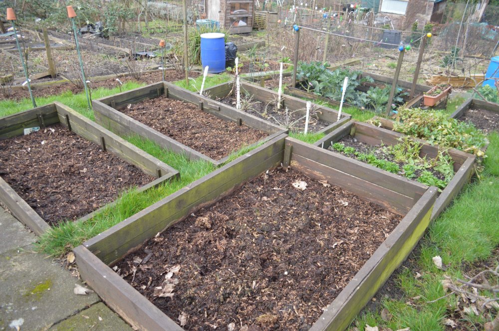 the-triple-bed-and-others