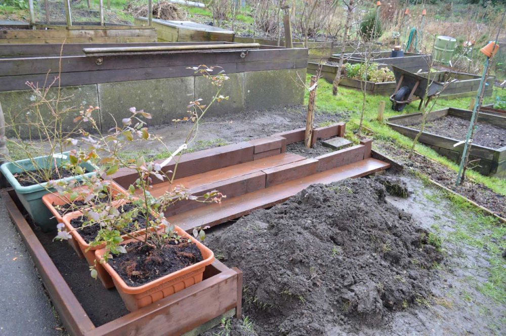 officially-abandoning