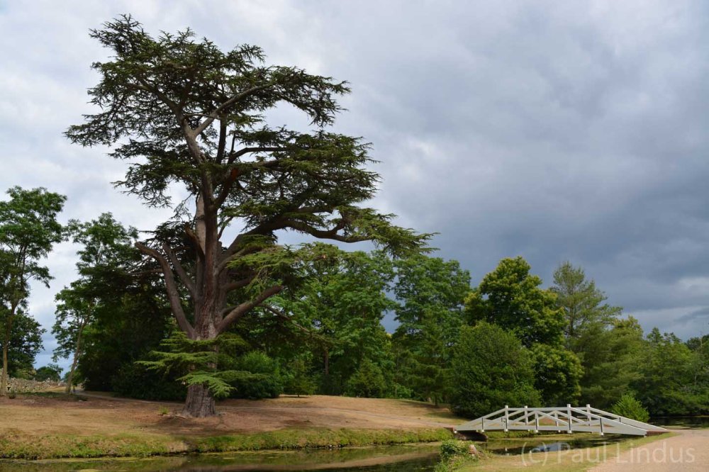 Painshill16_Paul Lindus