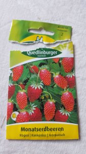 Quedlinburg Seeds