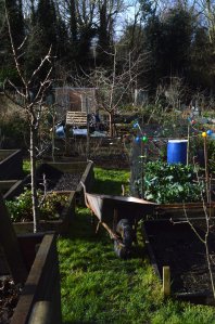 wheelbarrow-early-morning-sun