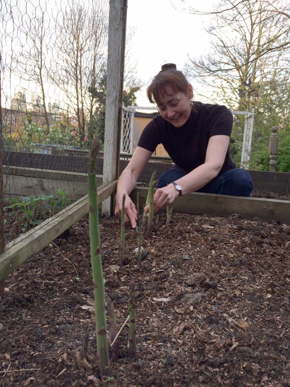 Me with first asparagus 2 april 2017.jpg 2